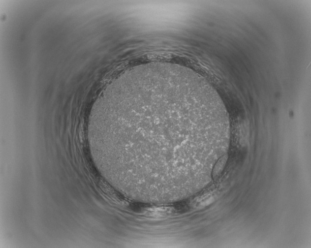 X0000060260323200511181400