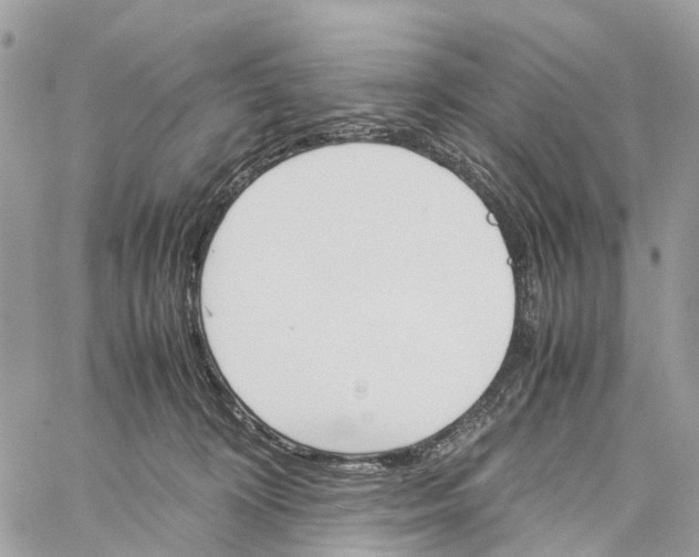 X0000060260324200511181400