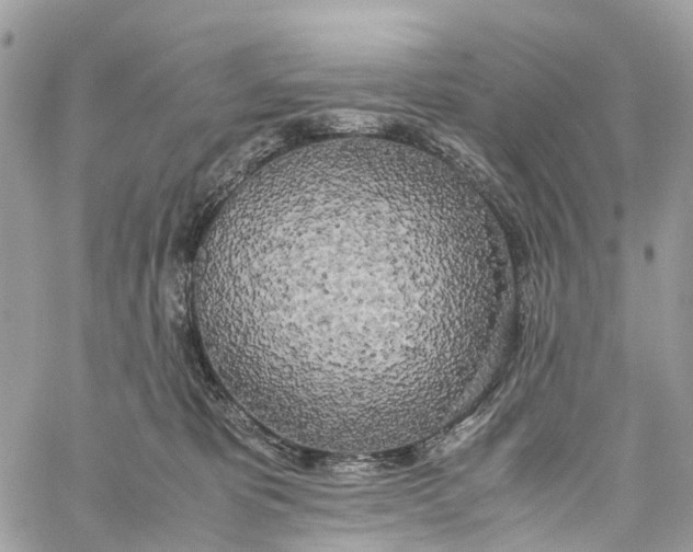 X0000060260325200511181400