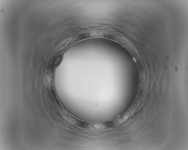 X0000060260329200511181400