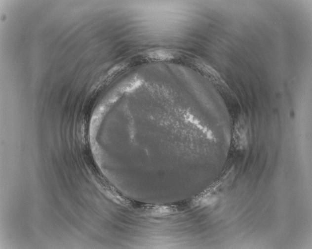 X0000060260330200511181400