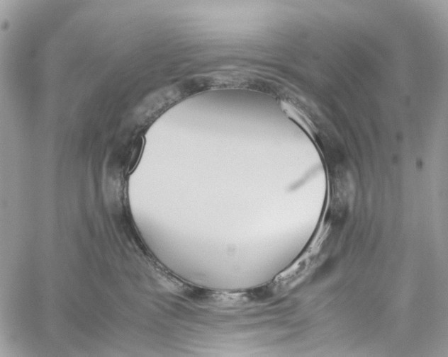 X0000060260333200511181400