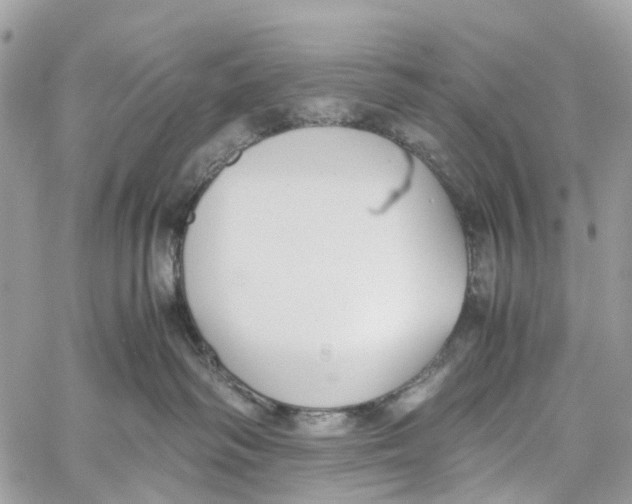 X0000060260334200511181400