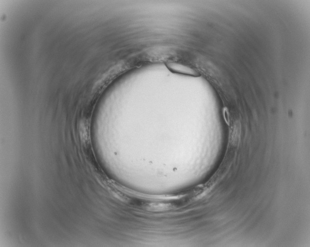 X0000060260335200511181400