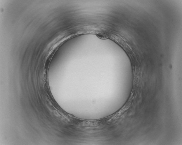 X0000060260338200511181359