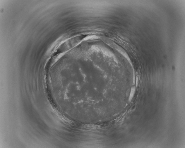 X0000060260339200511181359