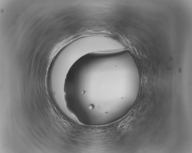 X0000060260340200511181359