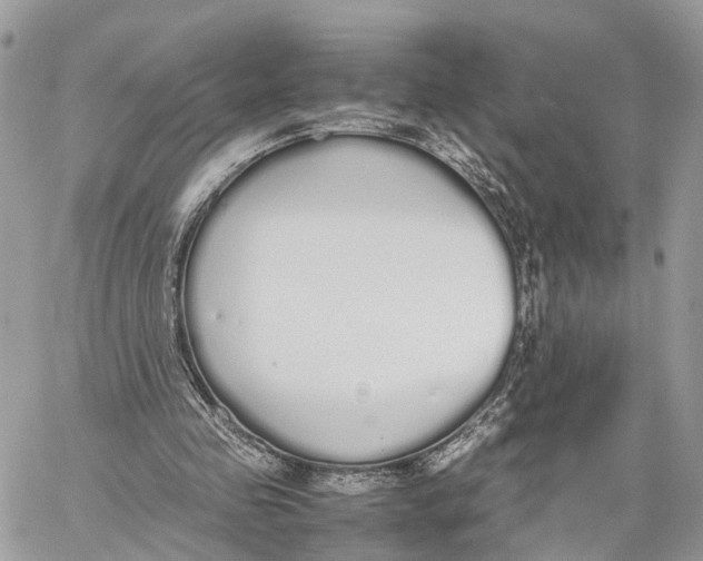 X0000060260341200511181359