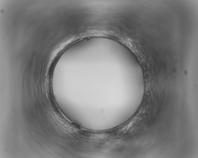 X0000060260342200511181359