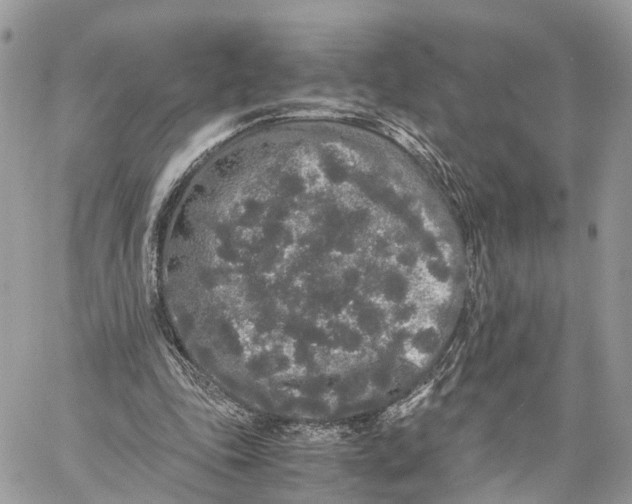 X0000060260343200511181400