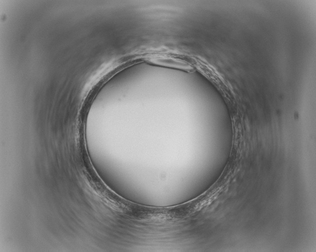 X0000060260344200511181400