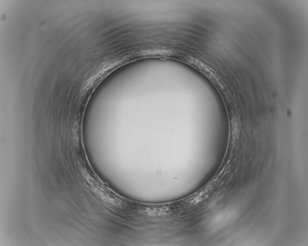 X0000060260345200511181400