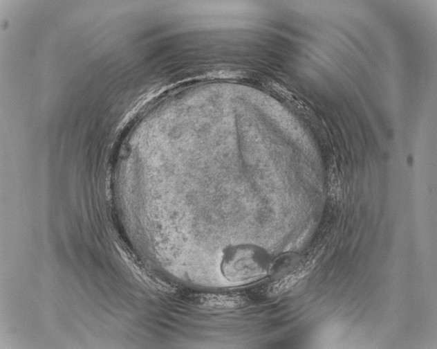 X0000060260347200511181400