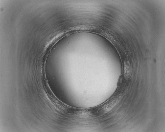 X0000060260348200511181400