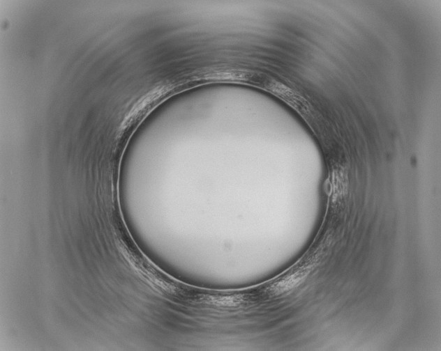 X0000060260349200511181400