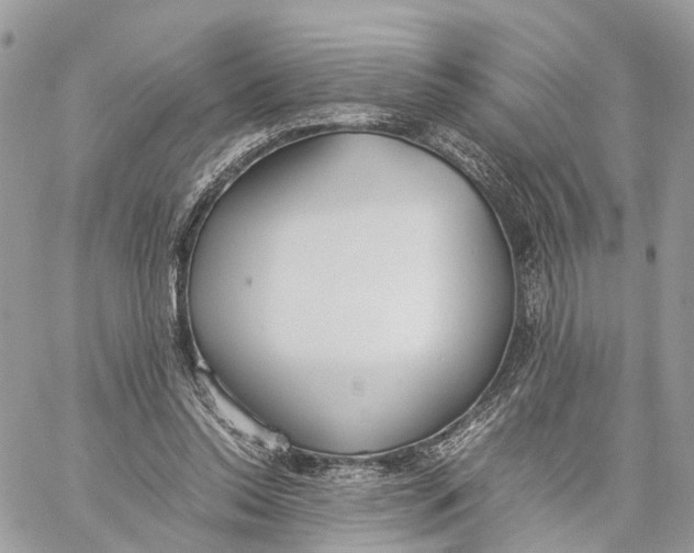 X0000060260350200511181400