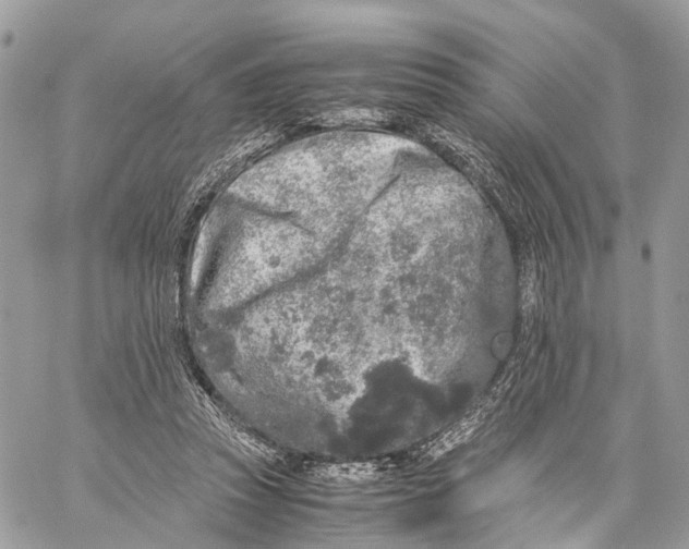 X0000060260353200511181400