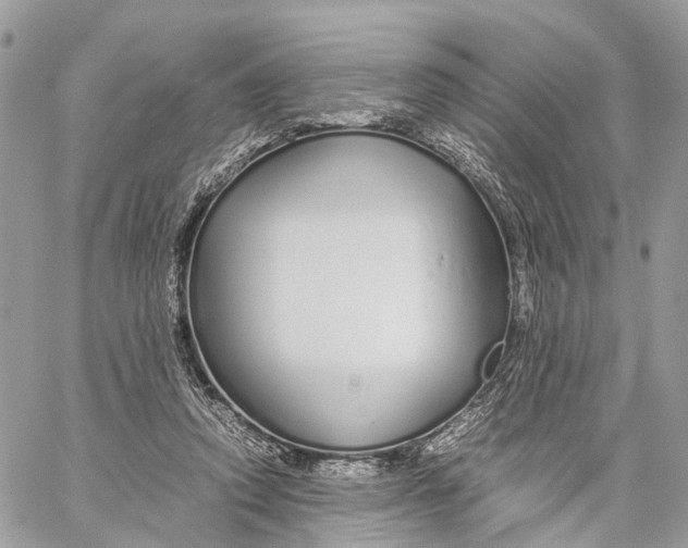 X0000060260354200511181400