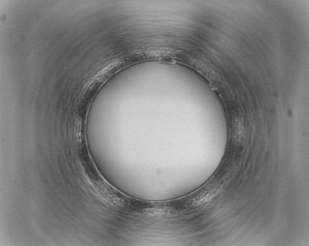 X0000060260356200511181400