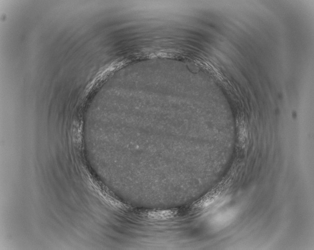 X0000060260357200511181400