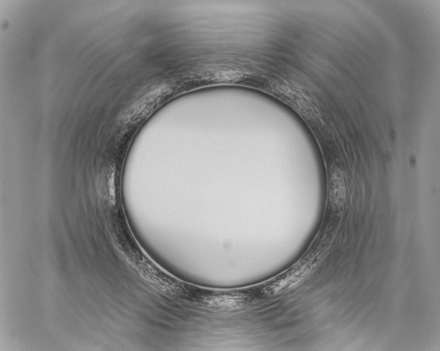 X0000060260358200511181400