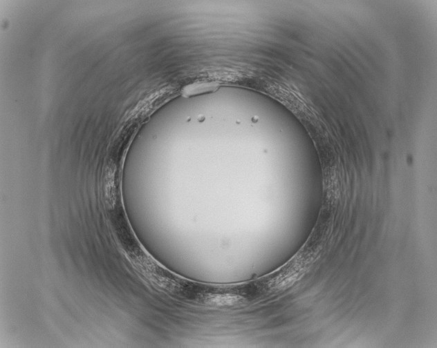 X0000060260360200511181400