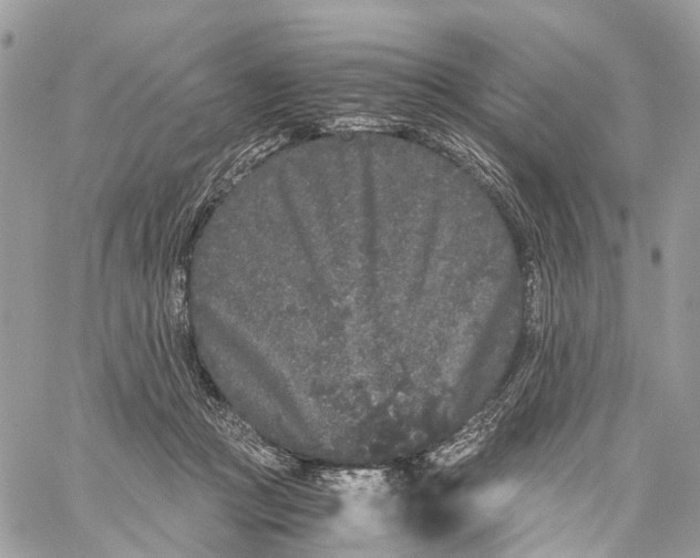 X0000060260361200511181400