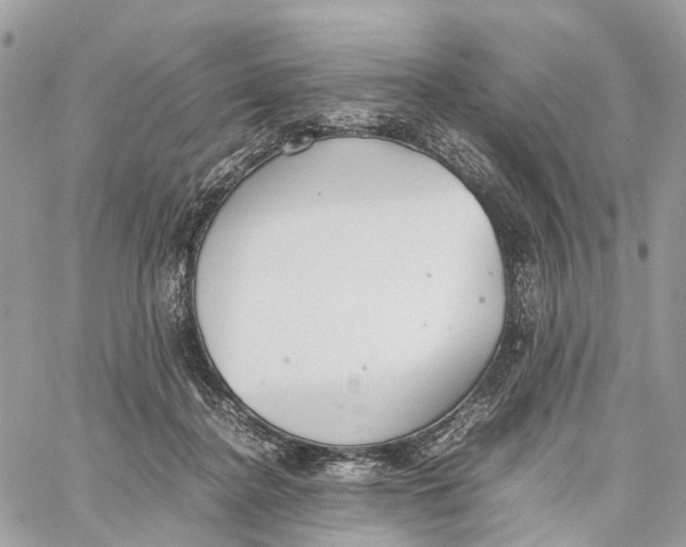 X0000060260364200511181400