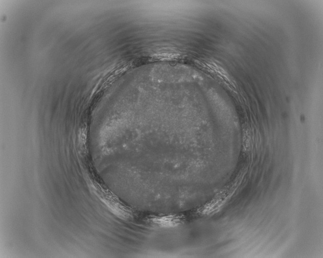 X0000060260365200511181400