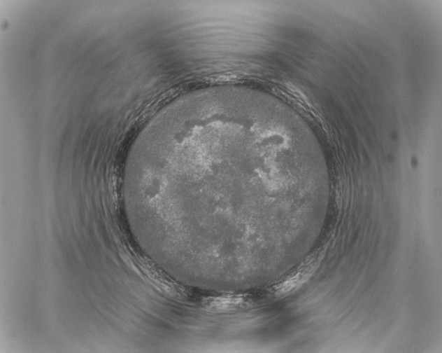 X0000060260366200511181400