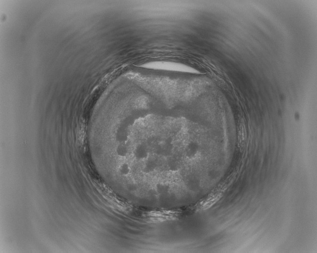 X0000060260367200511181400