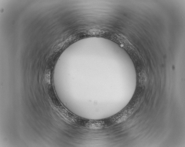 X0000060260368200511181400