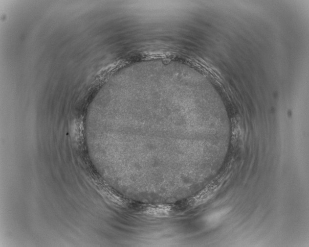 X0000060260369200511181400