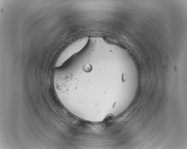 X0000060260370200511181400