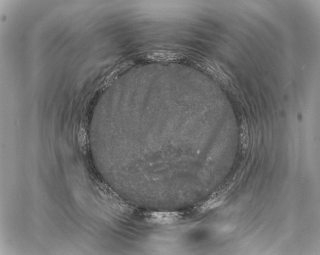 X0000060260371200511181400