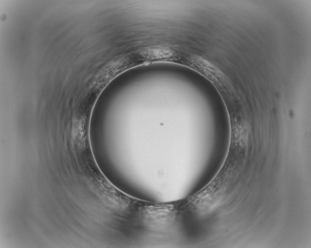 X0000060260373200511181400