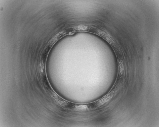 X0000060260374200511181400