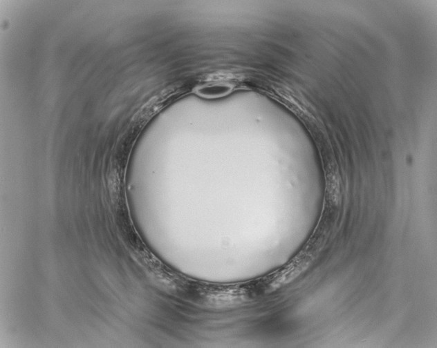 X0000060260375200511181400