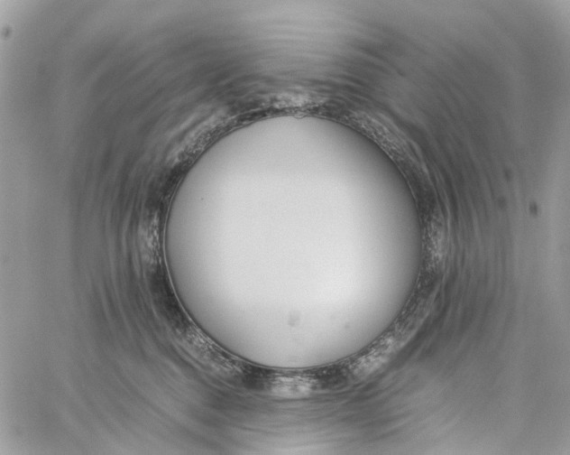 X0000060260376200511181400