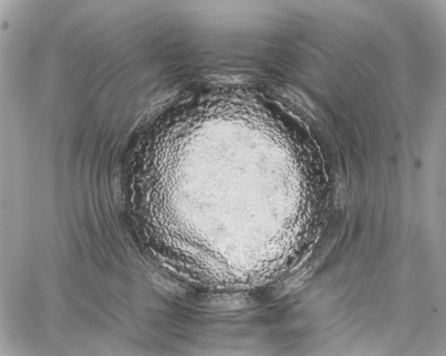 X0000060260377200511181400