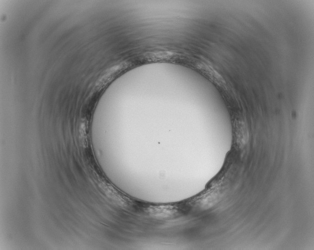 X0000060260378200511181400