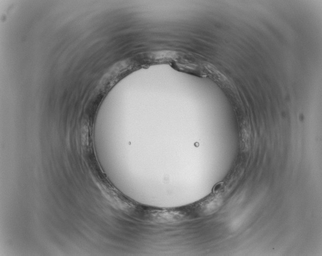 X0000060260379200511181400