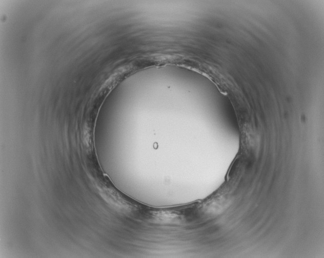 X0000060260380200511181400