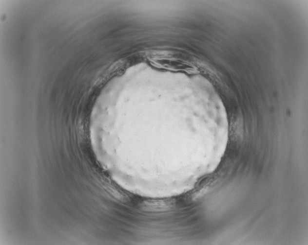 X0000060260381200511181400