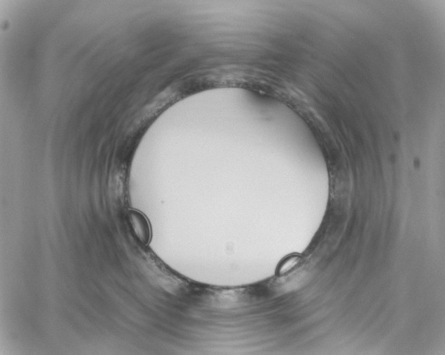 X0000060260382200511181400