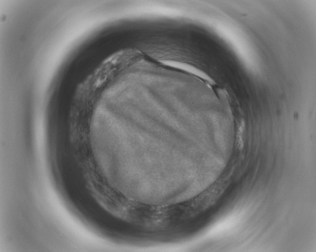 X0000060260383200511181400