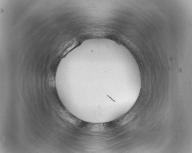 X0000060260384200511181400