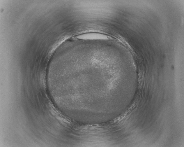 X0000060260386200511181359