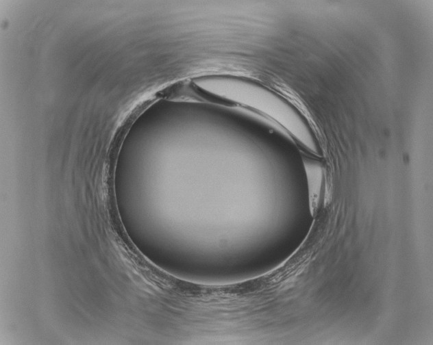 X0000060260387200511181359