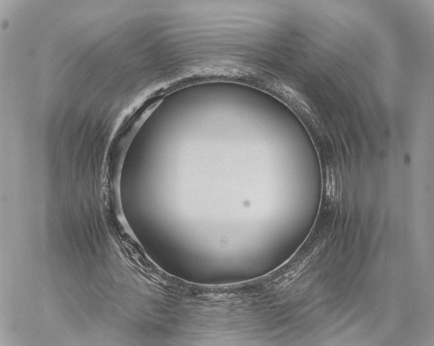 X0000060260388200511181359